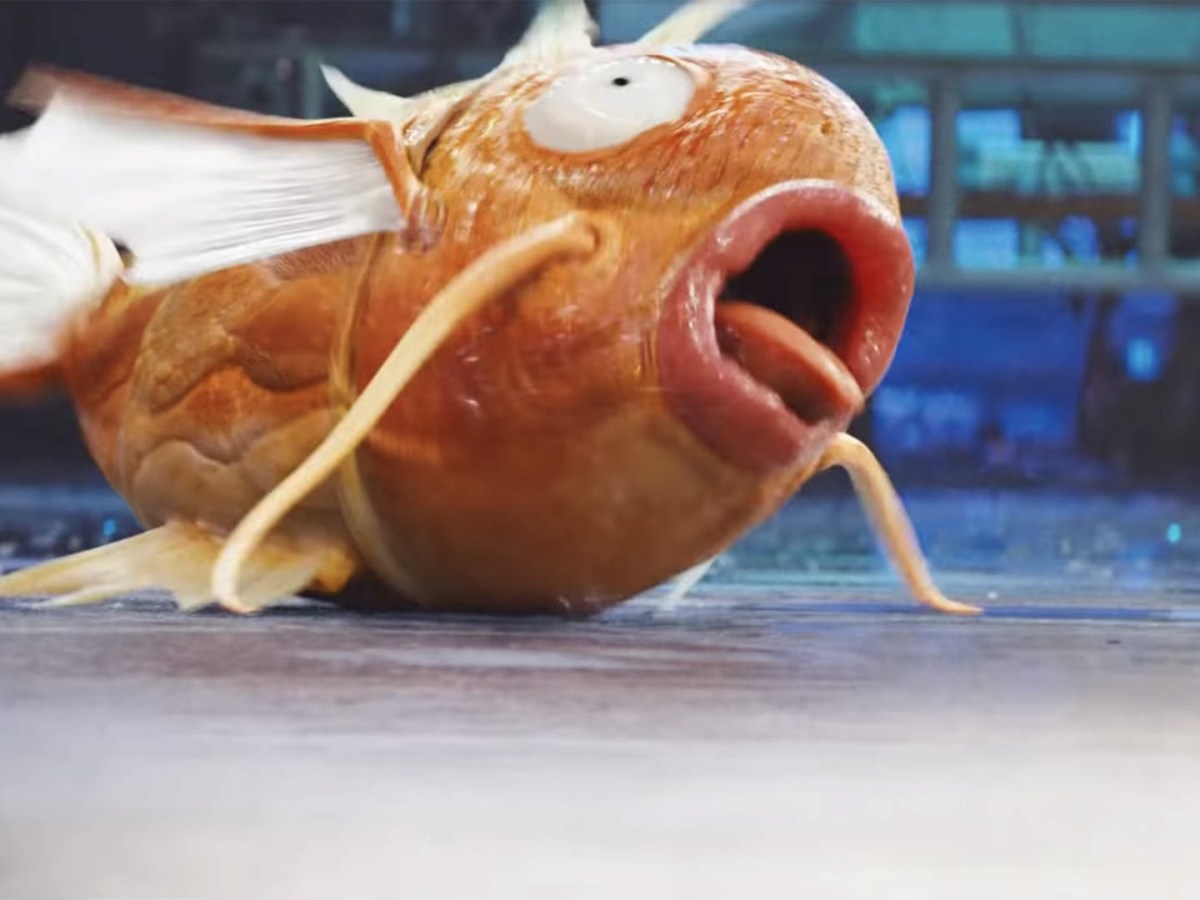 Beta Think They are an Alpha by Pulling a Beta&nbsp;Move